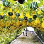 Vui học từ vựng tiếng Hàn bắt đầu bằng 고 và 가