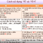 Học tiếng Hàn với “vũ điệu say rượu” qua bài hát Người hãy quên em đi – Mỹ Tâm