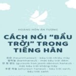 Học tiếng Hàn Quốc online – lai rai từ vựng đồ uống cùng SOFL