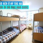 Chuẩn chỉnh cách đọc từ đồng âm, đồng nghĩa trong tiếng Hàn sơ cấp