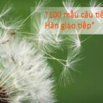 Từ vựng Hán Hàn gốc “향” và gốc “급”